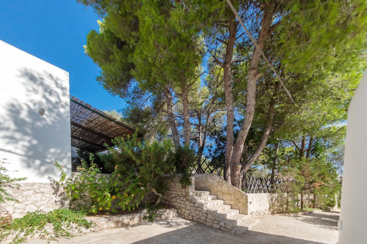 Apartmán Residenza La Cicala Castro  Pokoj fotografie